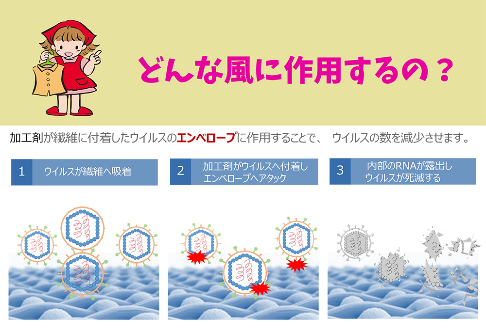 エンベロープ